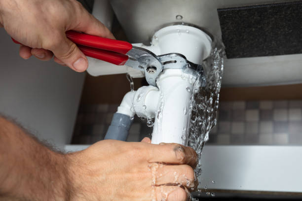 Best Professional water damage repair  in Southwood Acres, CT