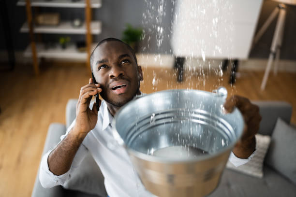Best Carpet water damage restoration  in Southwood Acres, CT