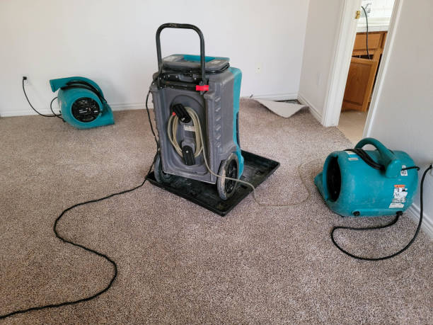 Best Sewage cleanup and water damage restoration  in Southwood Acres, CT
