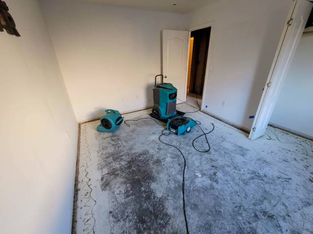 Best Carpet water damage restoration  in Southwood Acres, CT