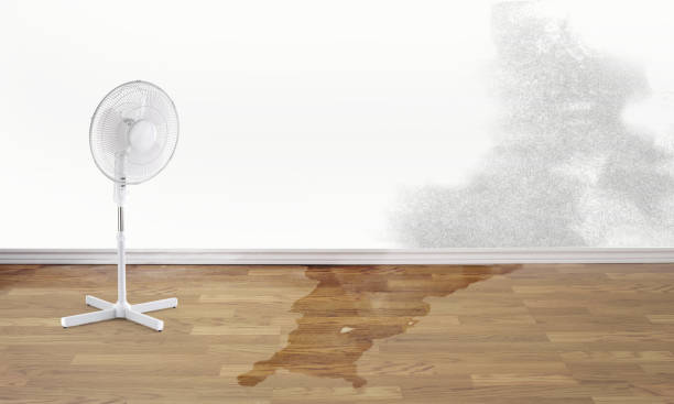 Best Flood restoration services  in Southwood Acres, CT