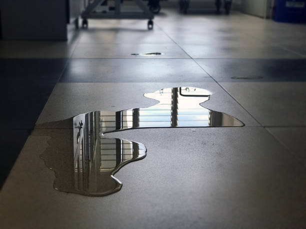 Best Water damage contractors near me  in Southwood Acres, CT