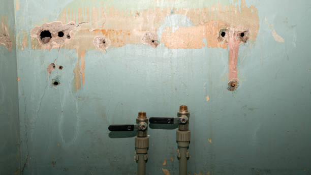 Best Mold removal after water damage  in Southwood Acres, CT