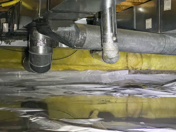 Best Water damage restoration services  in Southwood Acres, CT
