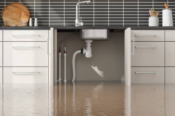 Best Water damage restoration near me  in Southwood Acres, CT